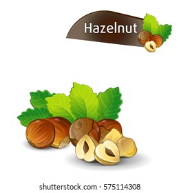 Hazelnut kernel with green leaves isolated on white background vector illustration. Organic food ingredient, traditional vegetarian snack. Hazelnut seed, filbert nut whole and shelled, hazel set.