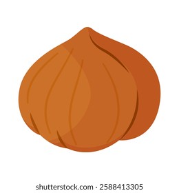 Hazelnut kernel ripe and tasty. Whole hazelnut without skin. Hand drawn trendy flat style isolated icon. Healthy treat, snacks, peeled forest nut. Vector illustration