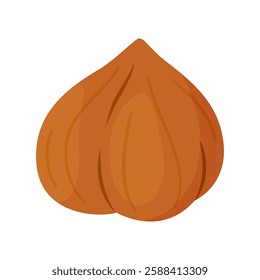 Hazelnut kernel ripe and tasty. Whole hazelnut without skin. Hand drawn trendy flat style isolated icon. Healthy treat, snacks, peeled forest nut. Vector illustration