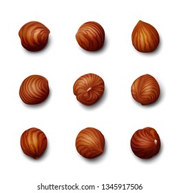 Hazelnut kernels with contrasting streaks and shadows on white background. Top view. Realistic vector illustration.
