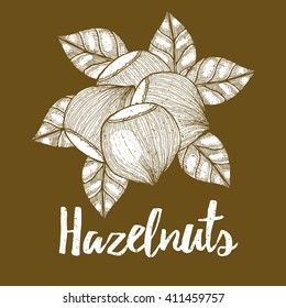 Hazelnut with leaves background in vintage style, vector