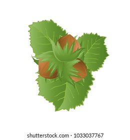 Hazelnut with leaves. Vector illustration