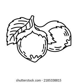 El icono de la línea de avellana. Ingrediente de cocina. Tamaño de trazo editable. Ilustración de boceto de nueces.