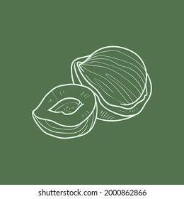 Hazelnut Line vector illustration. Detailed Food icon for mobile concept, print, menu, and web apps. For for restaurant, bar, vegan, healthy and organic food, market, farmers market.
