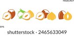 Hazelnut logo. Isolated hazelnut on white background