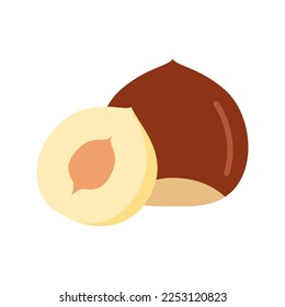 Hazelnut nut icon. Whole and half hazelnut isolated on white background. Vector illustration