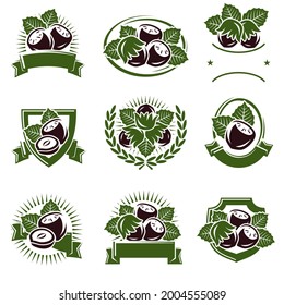Etiqueta de las nueces de avellano y conjunto de iconos. Nueces de avellanas de iconos de colección. Vector