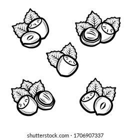 Hazelnut nuts set. Collection icon hazelnut nuts. Vector