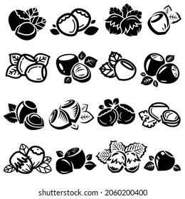 Colocación de castañas de avellano. Nueces de avellanas de iconos de colección. Vector