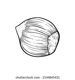 Hazelnut un icono simple en estilo de esbozo. Nueces de cáscara para envasado o etiquetas