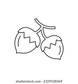 Hazelnut outline icon design. isolated on white background. vector illustration