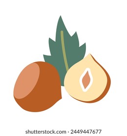 Hazelnut peeled whole, chopped into halves and green hazel leaves, cartoon style. Vector illustration isolated on white background, hand drawn, flat design