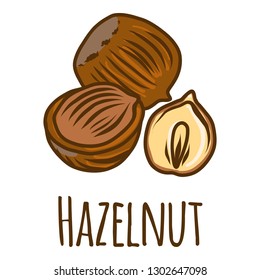 Hazelnut piece icon. Hand drawn illustration of hazelnut piece vector icon for web design