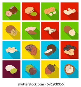 Hazelnut, pistachios, peanuts and other types of nuts.Different types of nuts set collection icons in flat style vector symbol stock illustration web.