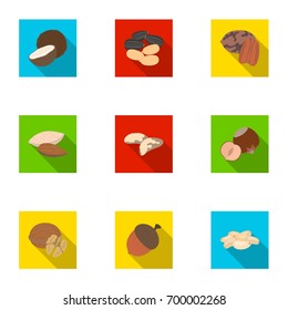 Hazelnut, pistachios, peanuts and other types of nuts.Different types of nuts set collection icons in flat style vector symbol stock illustration web.