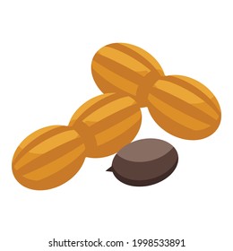 Hazelnut protein icon. Isometric of Hazelnut protein vector icon for web design isolated on white background