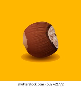 Hazelnut, Ripe Nut Isolated on a Yellow Background, Hard Fruit , Vector Illustration
