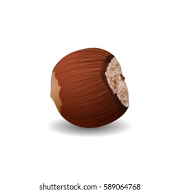 Hazelnut, Ripe Nut Isolated on a White Background, Hard Fruit , Vector Illustration 