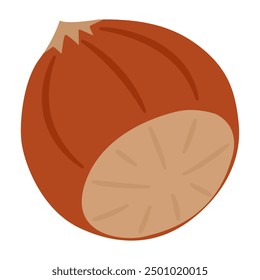 Hazelnut ripe and tasty, healthy treat, snacks. Hand drawn trendy flat style isolated Vector illustration