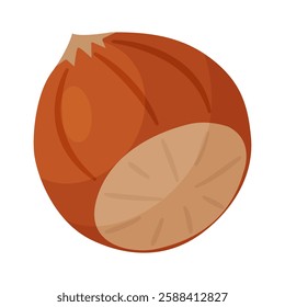 Hazelnut ripe and tasty. Whole hazelnut in shell. Hand drawn trendy flat style isolated icon. Healthy treat, snacks, unpeeled forest nut. Vector illustration