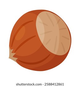 Hazelnut ripe and tasty. Whole hazelnut in shell. Hand drawn trendy flat style isolated icon. Healthy treat, snacks, unpeeled forest nut. Vector illustration