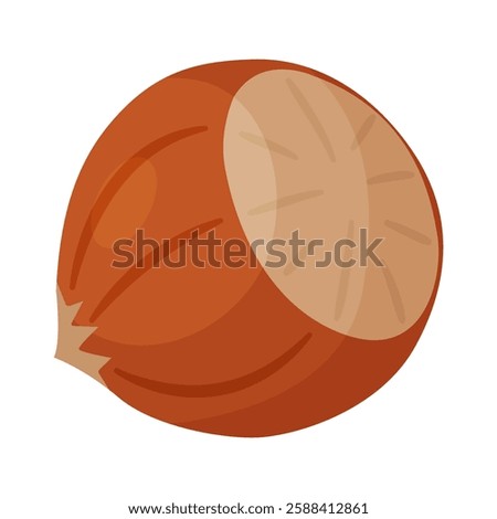 Hazelnut ripe and tasty. Whole hazelnut in shell. Hand drawn trendy flat style isolated icon. Healthy treat, snacks, unpeeled forest nut. Vector illustration