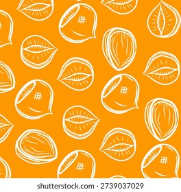 Hazelnut Seamless Pattern Hand Drawn Nut Vector Background