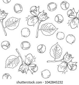 Hazelnut seamless vector pattern. hand draw background.