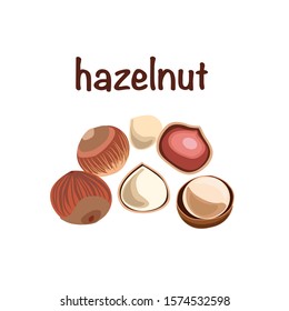 Hazelnut set. Isolated hazelnut on white background. Healthy diet snack and breakfasts. 