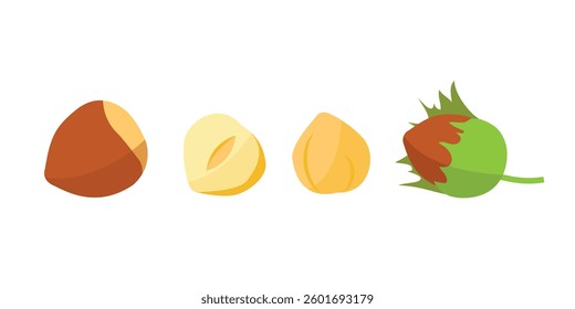 Hazelnut  set. Logo. Isolated hazelnut on white background