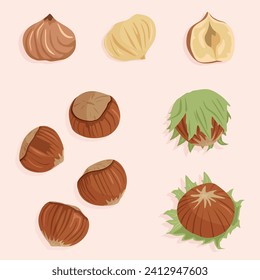 Hazelnut. Conjunto de iconos vectoriales en un tema de tuerca. Anguila entera con cáscara, descascarada y media. Una dieta saludable.
