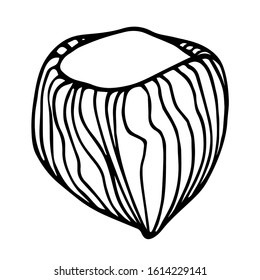 hazelnut in shell, element of decorative ornament or pattern, vector illustration with black contour lines isolated on white background in doodle and hand drawn style