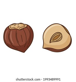 Hazelnut in the shell. A whole nut and a half. A symbol of autumn, harvest. Design element with outline. Doodle, hand-drawn. Flat design. Color vector illustration. Isolated on a white background