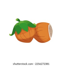 Hazelnut sticker. Vector illustration of cute fall item. Cartoon hazelnut isolated on white background. Autumn decor concept