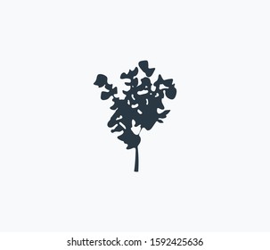 Hazelnut tree icon isolated on clean background. Hazelnut tree icon concept drawing icon in modern style. Vector illustration for your web mobile logo app UI design.
