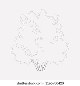 Hazelnut tree icon line element. Vector illustration of hazelnut tree icon line isolated on clean background for your web mobile app logo design.