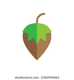 Hazelnut vector colorful icon illustration on white background..eps