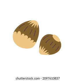 Hazelnut Vector hand drawn naive art