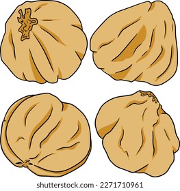Hazelnut. Nueces dibujadas a mano por vectores. Ilustración de color con diferentes tipos de monjas.