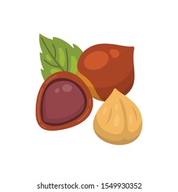Hazelnut vector icon nuts in cartoon style. Hazel Nut food collection.