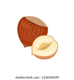 Hazelnut vector icon. Simple flat illustration of whole and half nut.