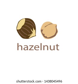hazelnut vector illustration 