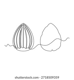 Hazelnut vector illustration. line art, one continuous line, simple, hand drawn and sketch style. for icons, symbols, signs or logos
