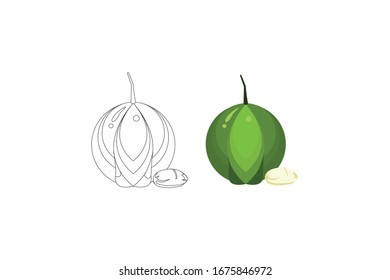 Hazelnut  Vector Illustration Of A Vegetable Bundle