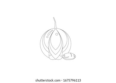 Hazelnut Vector Outline Illustration Of Vegetable