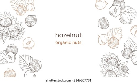 Hazelnut web banner with nuts and leaves, fruits and kernels. Left and right pattern of hazelnuts