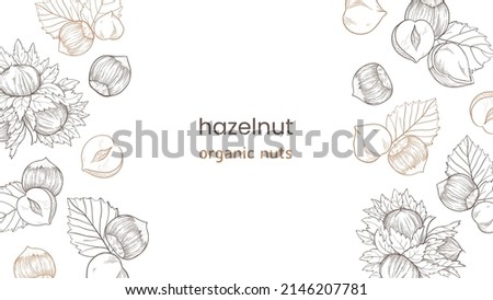 Hazelnut web banner with nuts and leaves, fruits and kernels. Left and right pattern of hazelnuts