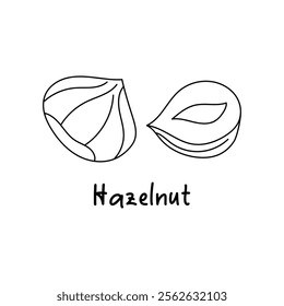 Hazelnut. Whole and half hazelnut. Healthy food. Products for snack. Line icons. Hand drawn sketches, doodle, vector illustration.