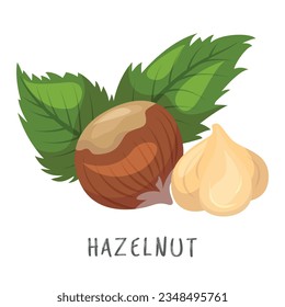 Hazelnut whole nutshell and hulled natural nut with green leaves healthy food vector flat illustration. Organic dessert snack with peel vegetarian brown delicious edible plant diet kernel nourishment