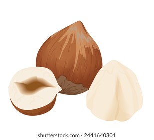 Avellana, fruta entera de la nuez orgánica en cáscara marrón, cortada en la mitad ilustración vectorial